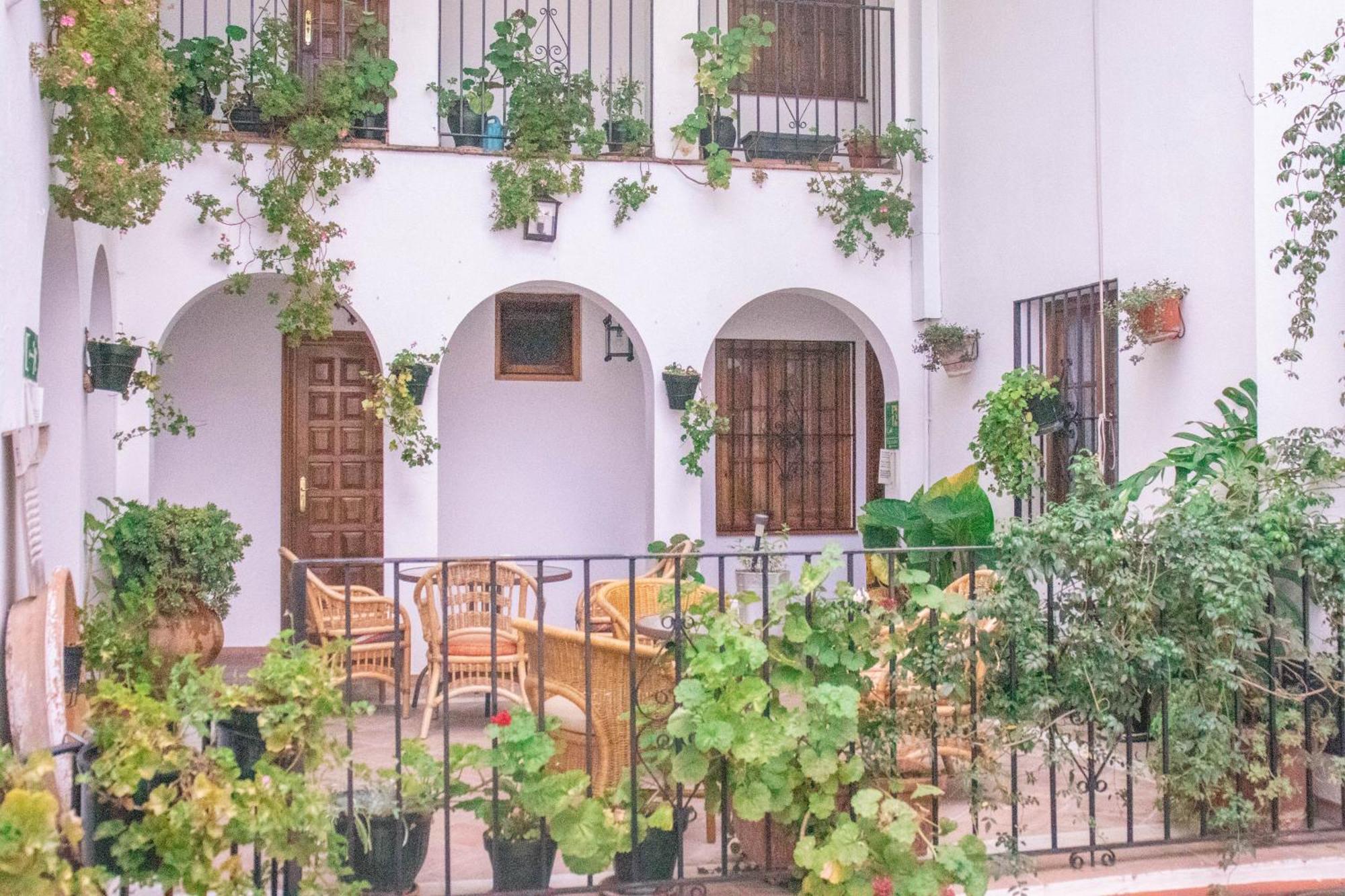 Hospederia Casa De Las Piedras Grazalema Exterior foto